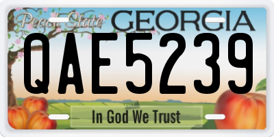 GA license plate QAE5239