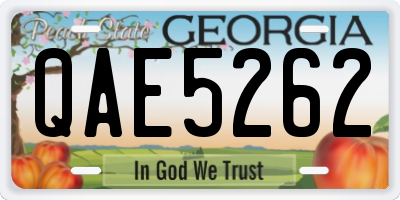 GA license plate QAE5262