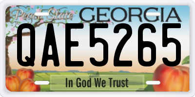 GA license plate QAE5265