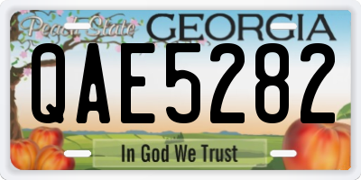 GA license plate QAE5282