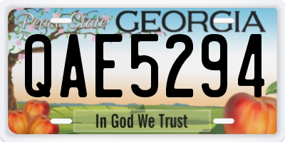 GA license plate QAE5294