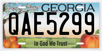 GA license plate QAE5299