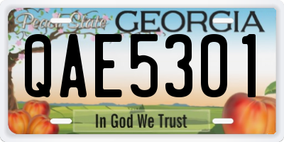 GA license plate QAE5301