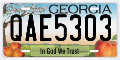 GA license plate QAE5303