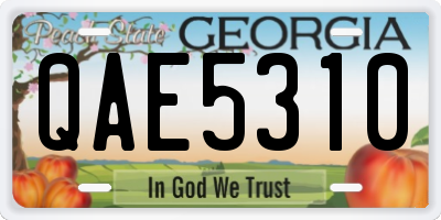 GA license plate QAE5310