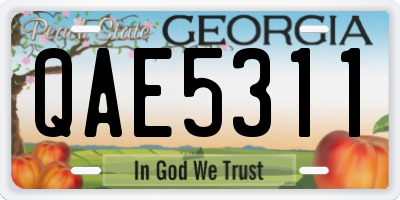 GA license plate QAE5311