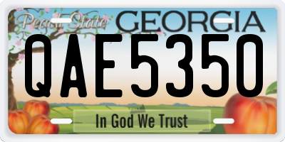 GA license plate QAE5350