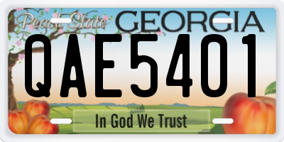 GA license plate QAE5401