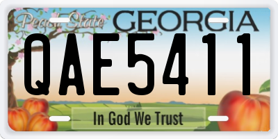 GA license plate QAE5411