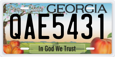 GA license plate QAE5431