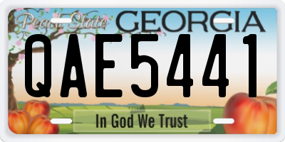 GA license plate QAE5441