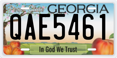 GA license plate QAE5461