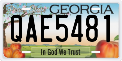 GA license plate QAE5481