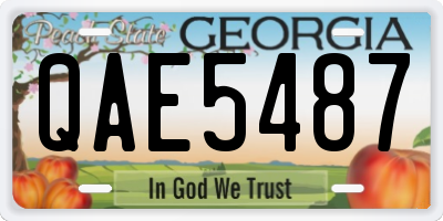 GA license plate QAE5487