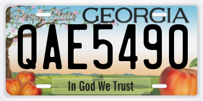 GA license plate QAE5490
