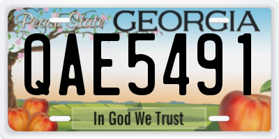 GA license plate QAE5491