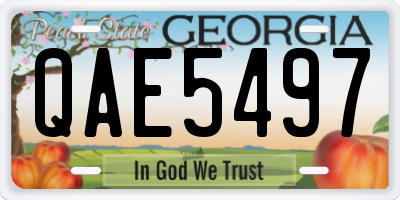 GA license plate QAE5497