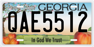 GA license plate QAE5512