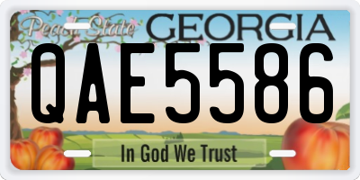 GA license plate QAE5586