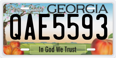 GA license plate QAE5593