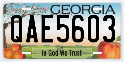 GA license plate QAE5603