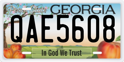 GA license plate QAE5608