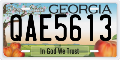 GA license plate QAE5613