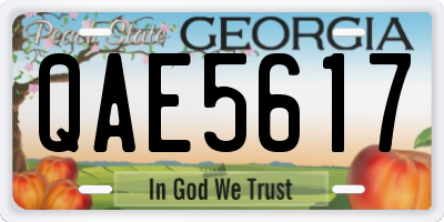 GA license plate QAE5617