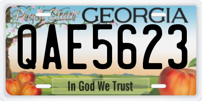 GA license plate QAE5623