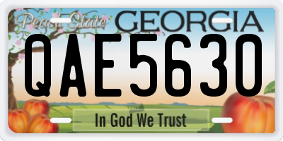 GA license plate QAE5630