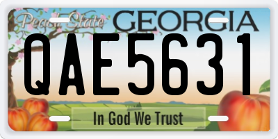 GA license plate QAE5631