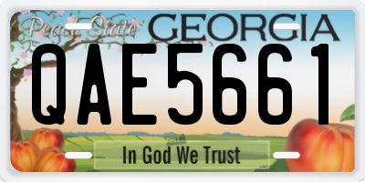GA license plate QAE5661