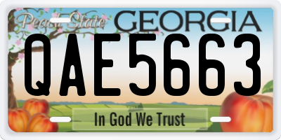 GA license plate QAE5663