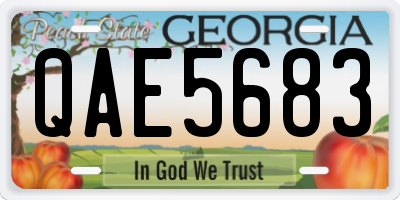 GA license plate QAE5683