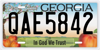 GA license plate QAE5842