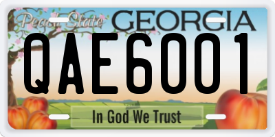 GA license plate QAE6001