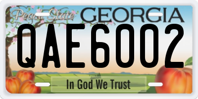 GA license plate QAE6002