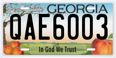 GA license plate QAE6003
