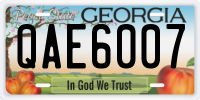 GA license plate QAE6007