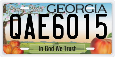 GA license plate QAE6015