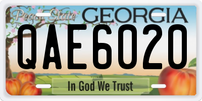 GA license plate QAE6020