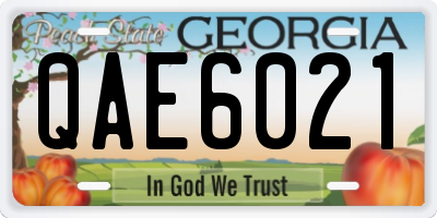 GA license plate QAE6021