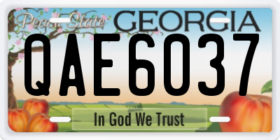 GA license plate QAE6037