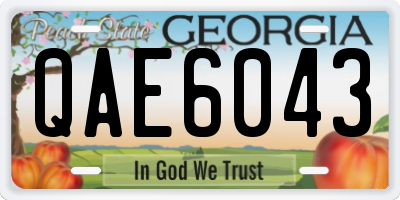 GA license plate QAE6043