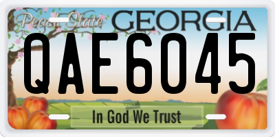 GA license plate QAE6045