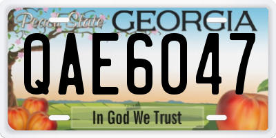 GA license plate QAE6047