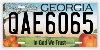 GA license plate QAE6065