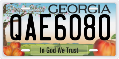 GA license plate QAE6080