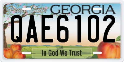 GA license plate QAE6102