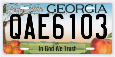 GA license plate QAE6103